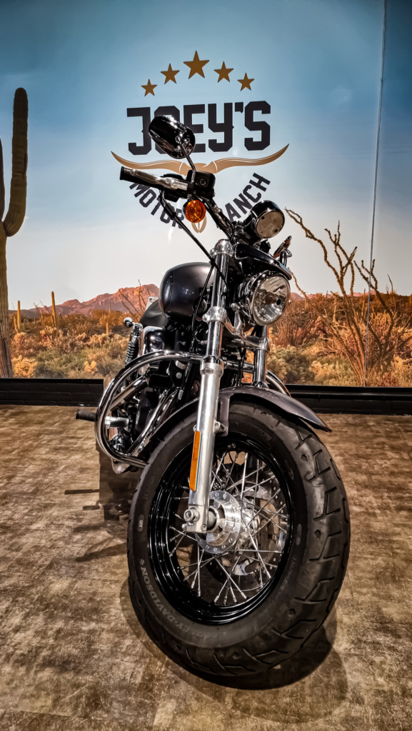 Harley-Davidson-XL1200C-Sportster-Custom-1200-2015
