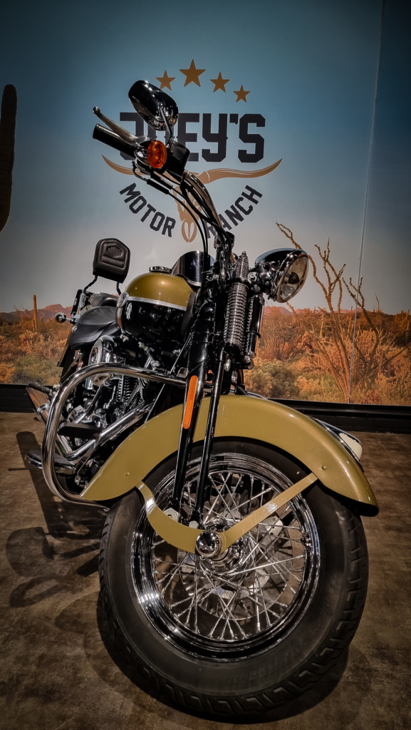Harley-DAvidson Springer Classic FLSTSC 2007 (8)