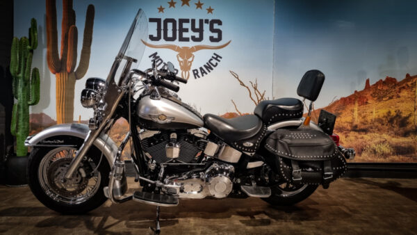 Harley-Davidson-FLSTC-Heritage Classic-100th Anniversary