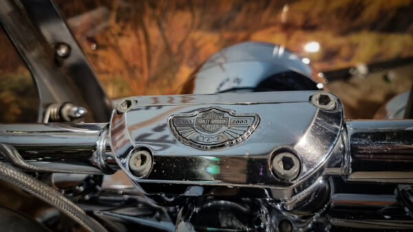 Harley-Davidson-FLSTC-Heritage Classic-100th Anniversary