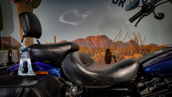 Harley-Davidson-FXDC-Super Glide Custom-2010-Black Ice
