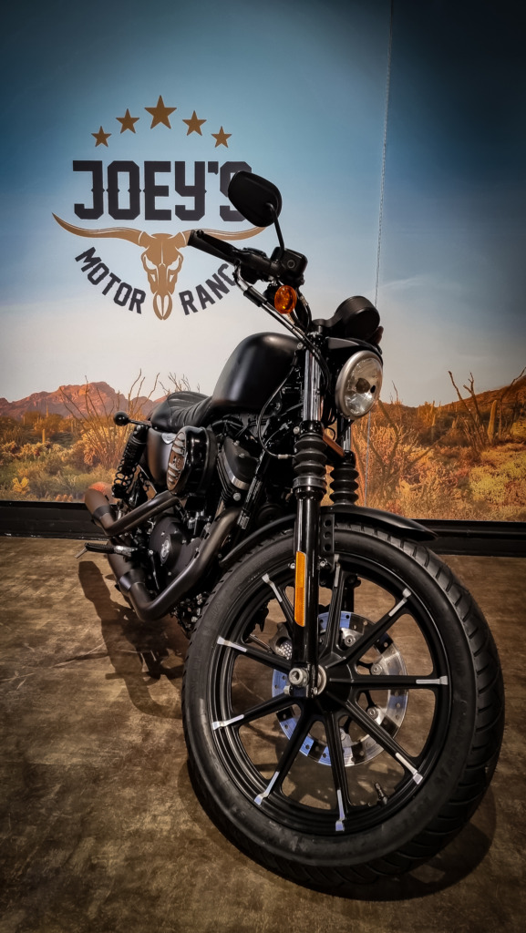 Harley-Davidson-Sportster-883 Iron-XL883N-2016
