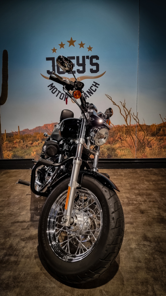 Harley-Davidson-Sportster-1200-XL1200C