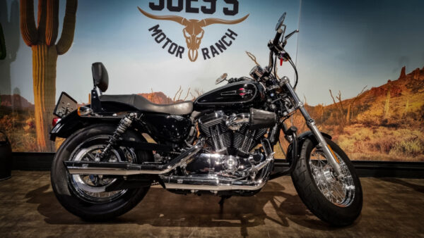 Harley-Davidson-Sportster-1200-XL1200C