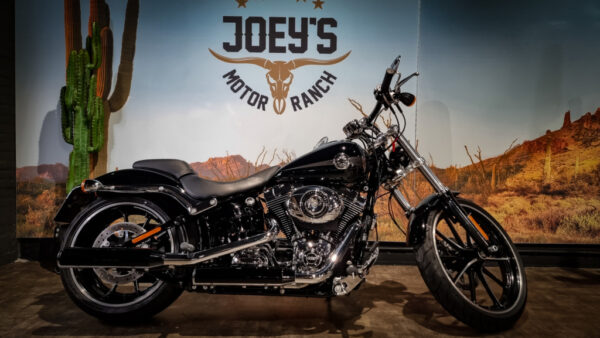 Harley-Davidson-Break-Out-FXSB-2014