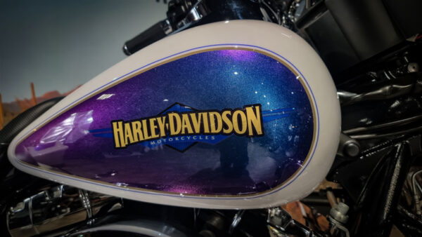 Harley-Davidson-Street Glide-FLHX-2010