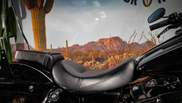 Harley-Davidson-Wide Glide-2010-FXDWG