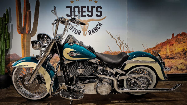 Harley-Davidson-FLSTC-Heritage Classic-viclas-Mexican Style-2008-( model 2009)