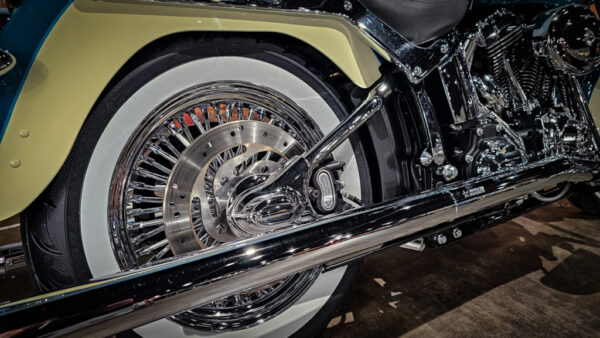 Harley-Davidson-FLSTC-Heritage Classic-viclas-Mexican Style-2008-( model 2009)