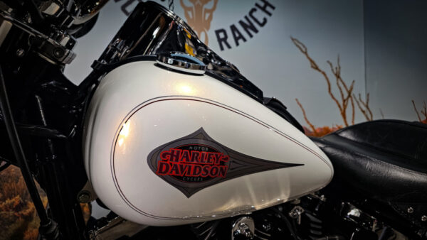 Harley-Davidson-FLSTC-Heritage Softail Classic-2001