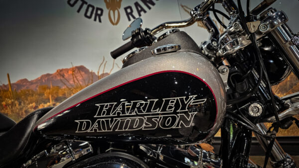Harley-Davidson-FXDL-Low Rider-Dyna-2017