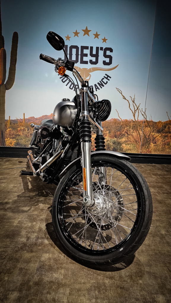 Harley-Davidson-Dyna-Wide Glide-FXDWG-Fat Tire-2014