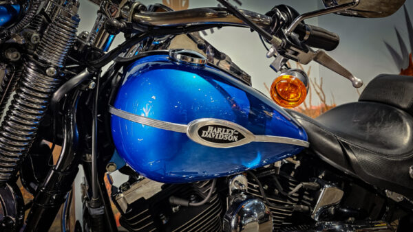 Harley-Davidson-FLSTSCI-Springer Classic-2006