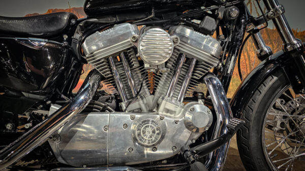 Harley-Davidson-Sportster 883-XL 883L-Low