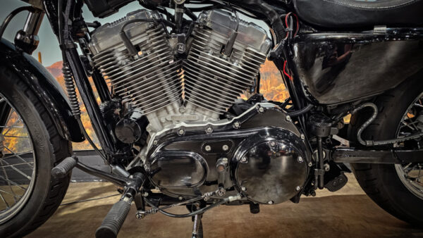 Harley-Davidson-Sportster 883-XL 883L-Low