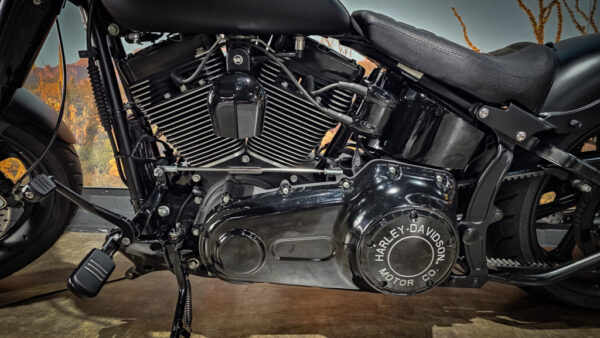 Harley-Davidson-FLSTFB-Fat Boy Special-Custom Build