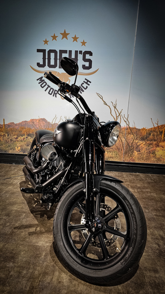 Harley-Davidson-FLSTFB-Fat Boy Special-Custom Build