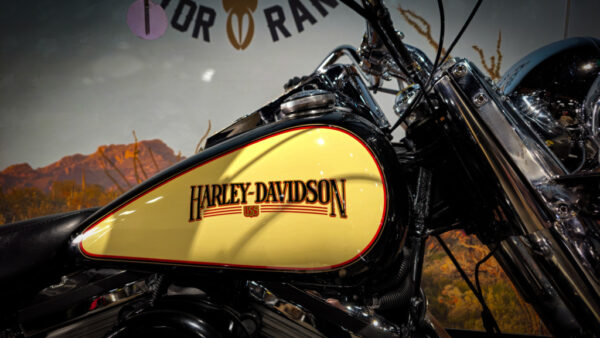 Harley-Davidson-FLSTC-Heritage Classic-Softail-1989