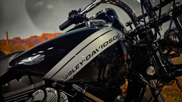 Harley-DAvidson-FXDF-Fat Bob-2015
