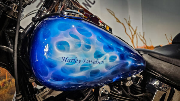 Harley-Davidson-FLSTC-Heritage Classic-2001-softail