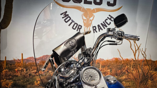 Harley-Davidson-FLSTC-Heritage Classic-2001-softail