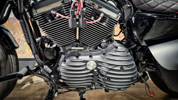 Harley-Davidson-XL1200C-Custom build-sportster-2008