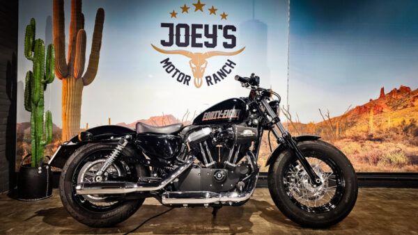 Harley-DAvidson-Sportster-forty-eight-48-Xl1200X-2013