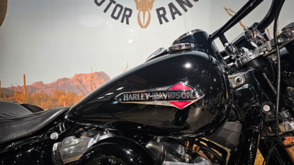 Harley-Davidson-FLS-Softail Slim-2018 (9)