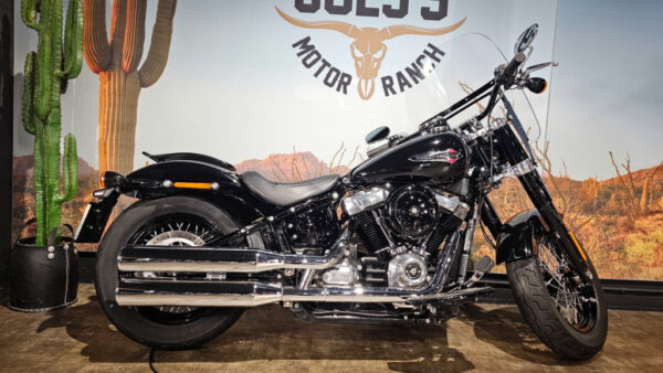 Harley-Davidson-FLS-Softail Slim-2018 (9)