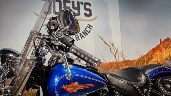 Harley-Davidson-FLSTC-Heritage Classic-Softail-1991