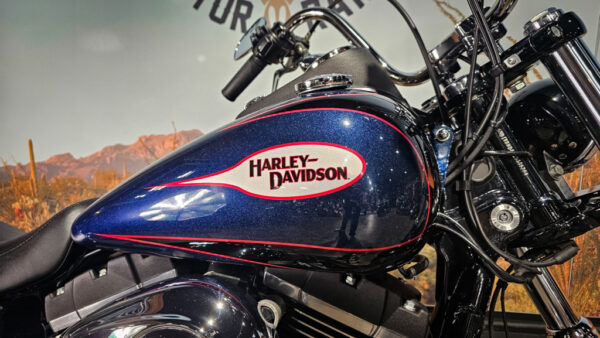 Harley-Davidson-Street Bob Limited-FXDBB-2013-Dyna