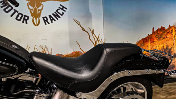 Harley-Davidson-Softail Custom-FLSTC-2010