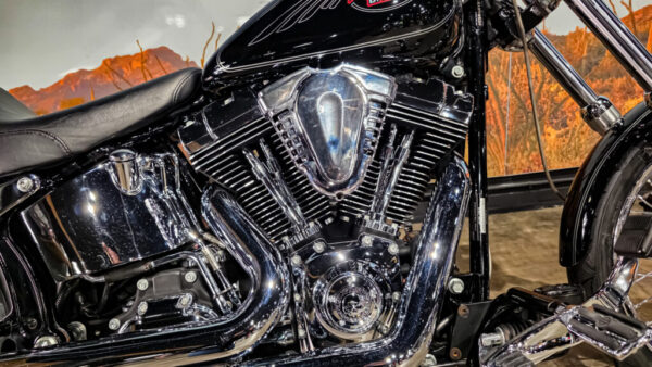 Harley-Davidson-Softail Custom-FLSTC-2010