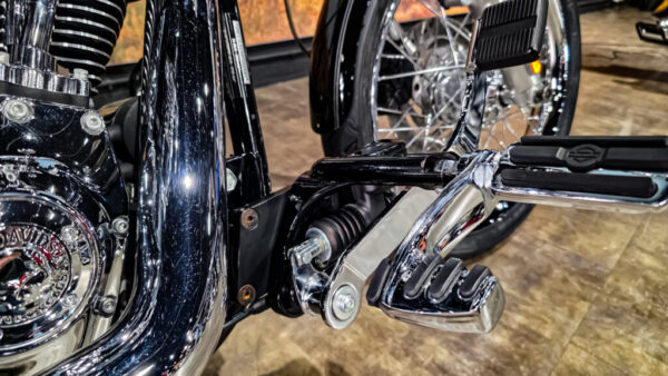 Harley-Davidson-Softail Custom-FLSTC-2010
