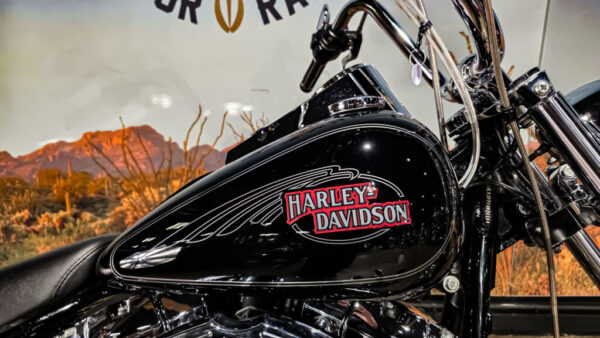 Harley-Davidson-Softail Custom-FLSTC-2010