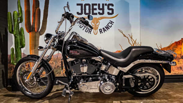 Harley-Davidson-Softail Custom-FLSTC-2010