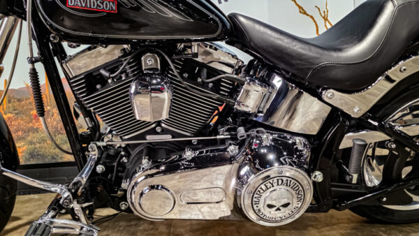 Harley-Davidson-Softail Custom-FLSTC-2010