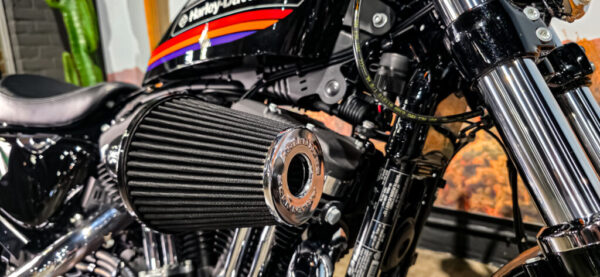 Harley-Davidson-Sportster-48-forty-eight-2018-XL1200X (10)