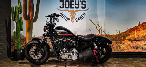 Harley-Davidson-Sportster-48-forty-eight-2018-XL1200X (10)