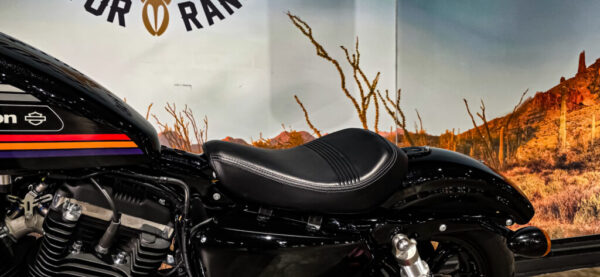 Harley-Davidson-Sportster-48-forty-eight-2018-XL1200X (10)