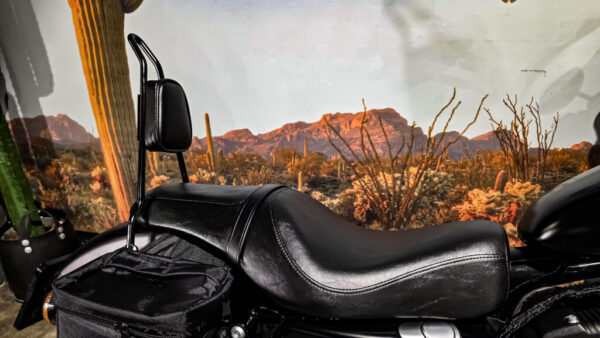 Harley-Davidson-Sportster-Iron 883-XL883N-2015