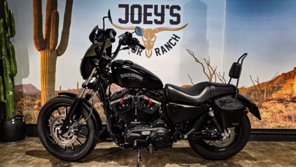 Harley-Davidson-Sportster-Iron 883-XL883N-2015