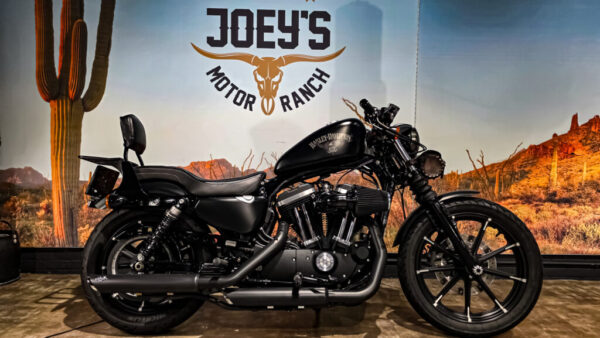Harley-DAvidson - XL883N - Sportster - Iron 883 - 2016 (13)