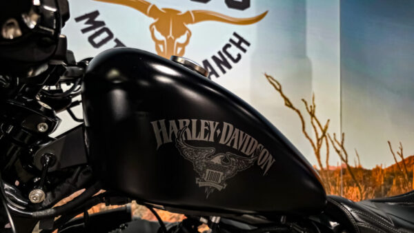 Harley-DAvidson - XL883N - Sportster - Iron 883 - 2016 (13)