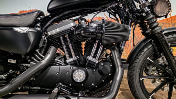 Harley-DAvidson - XL883N - Sportster - Iron 883 - 2016 (13)