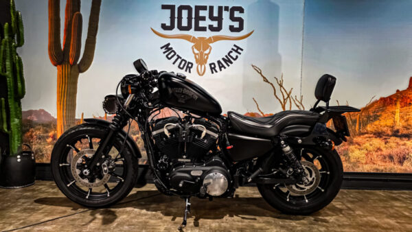 Harley-DAvidson - XL883N - Sportster - Iron 883 - 2016 (13)