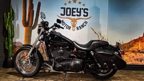 Harley-Davidson-Dyna-Super Glide Sport-FXDX-2002 (1)