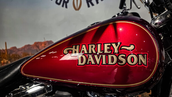Harley-Davidson - FXDS - Dyna convertible - 1996 (8)