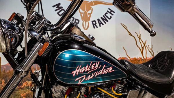 Harley-Davidson FXST Softail standard 1989 (2)