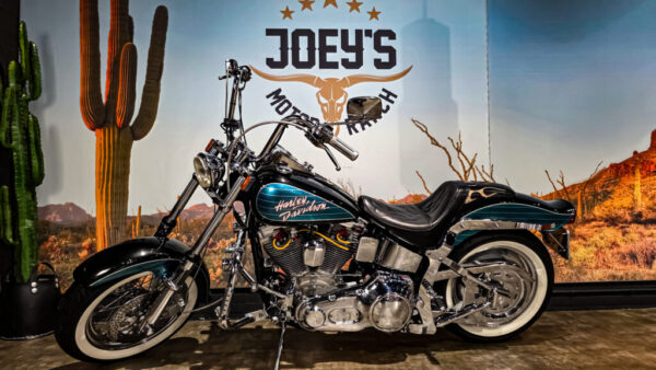 Harley-Davidson FXST Softail standard 1989 (2)
